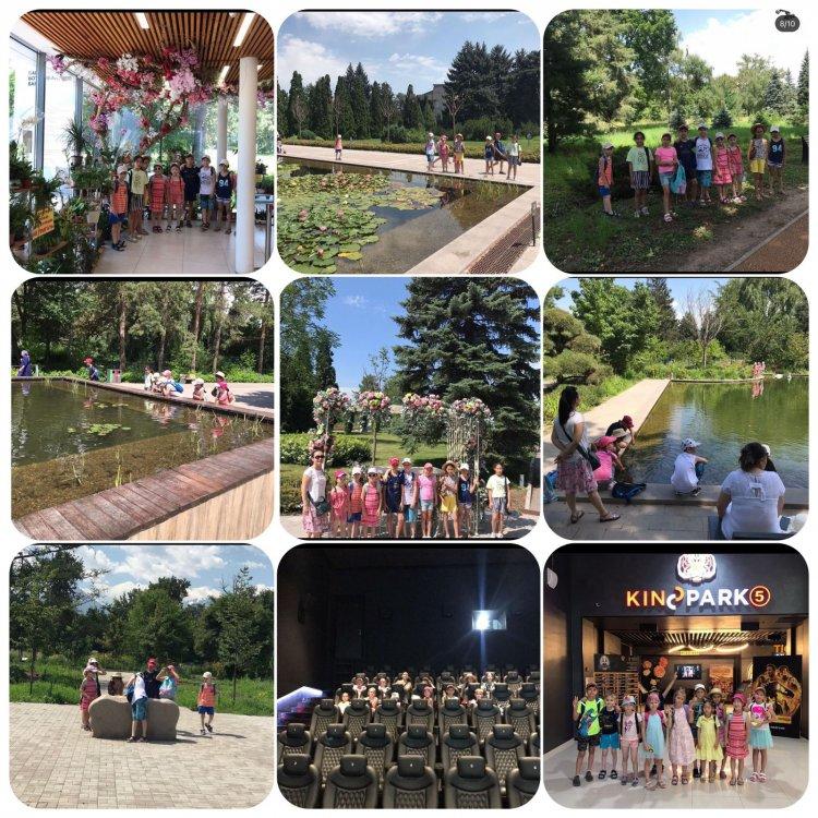 Работа летнего лагеря