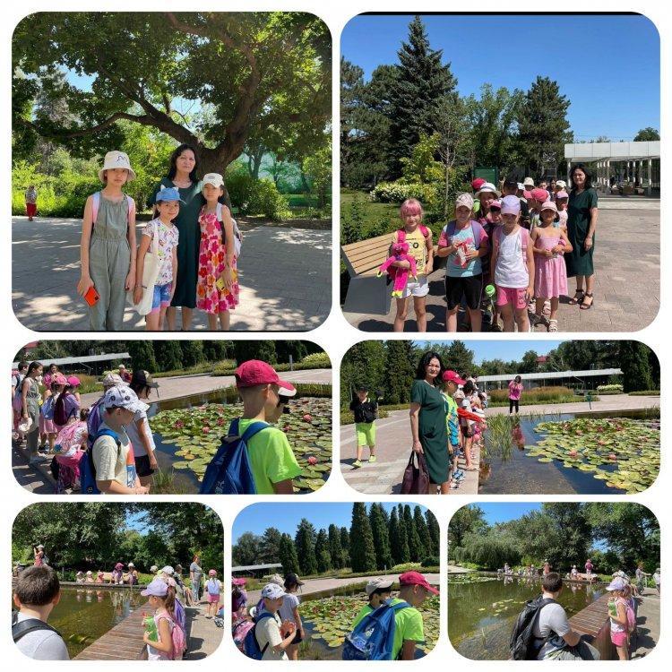 Работа летнего лагеря